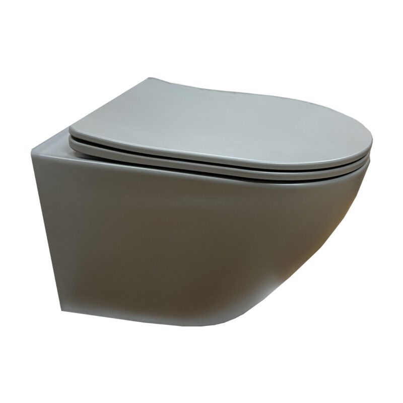 Hangend toilet met moderne, afgeronde vorm en bijpassende softclose toiletzitting in mat wit.