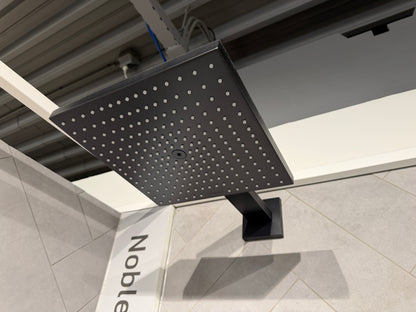 Hansgrohe Raindance hoofddouche